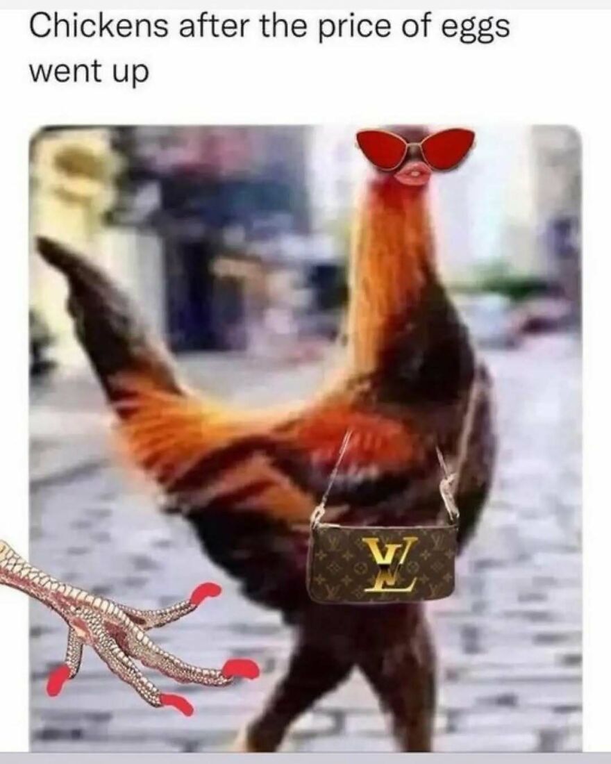 A silly animal meme featuring a chicken wearing sunglasses, a purse, and red nail polish, depicting it as fancy after egg prices rose.