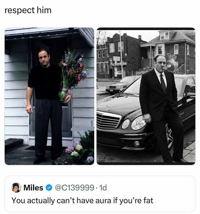 A meme contrasting two images of Tony Soprano, a notable pop culture post providing instant good vibes.