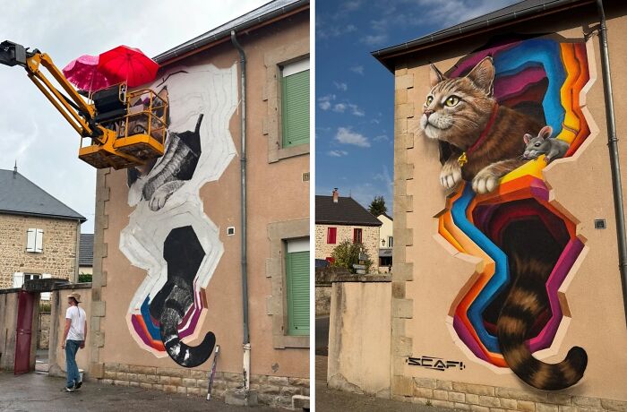 A French artist creates a mind-bending 3D illusion of a cat and mouse emerging from an ordinary wall.