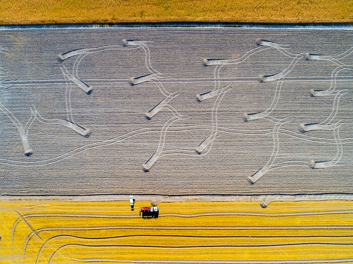 Aerial / Drone, Honorable Mention: Farmland By Mustafa Binol