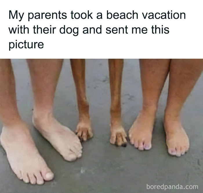 86 Relatable Travel Memes That Hit A Little Too Close To Home