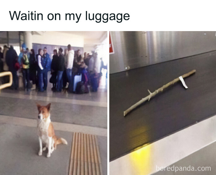 86 Relatable Travel Memes That Hit A Little Too Close To Home