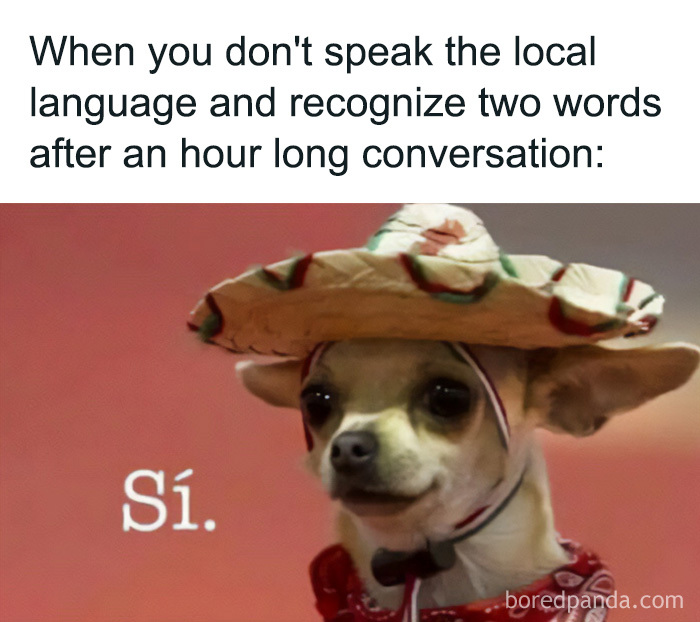 A chihuahua wearing a sombrero says Si, a travel meme about language barriers on vacay abroad.