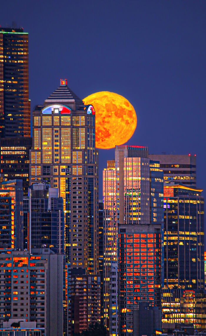 A large, glowing full moon rises behind a city skyline at dusk in an astronomy photo from the ZWO Shortlist.