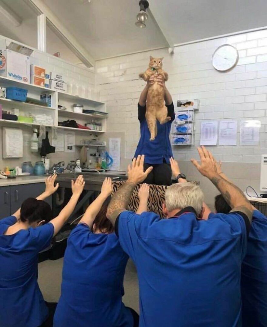 A group of people in blue scrubs kneeling, looking up at a person holding a ginger cat, making them look weird.
