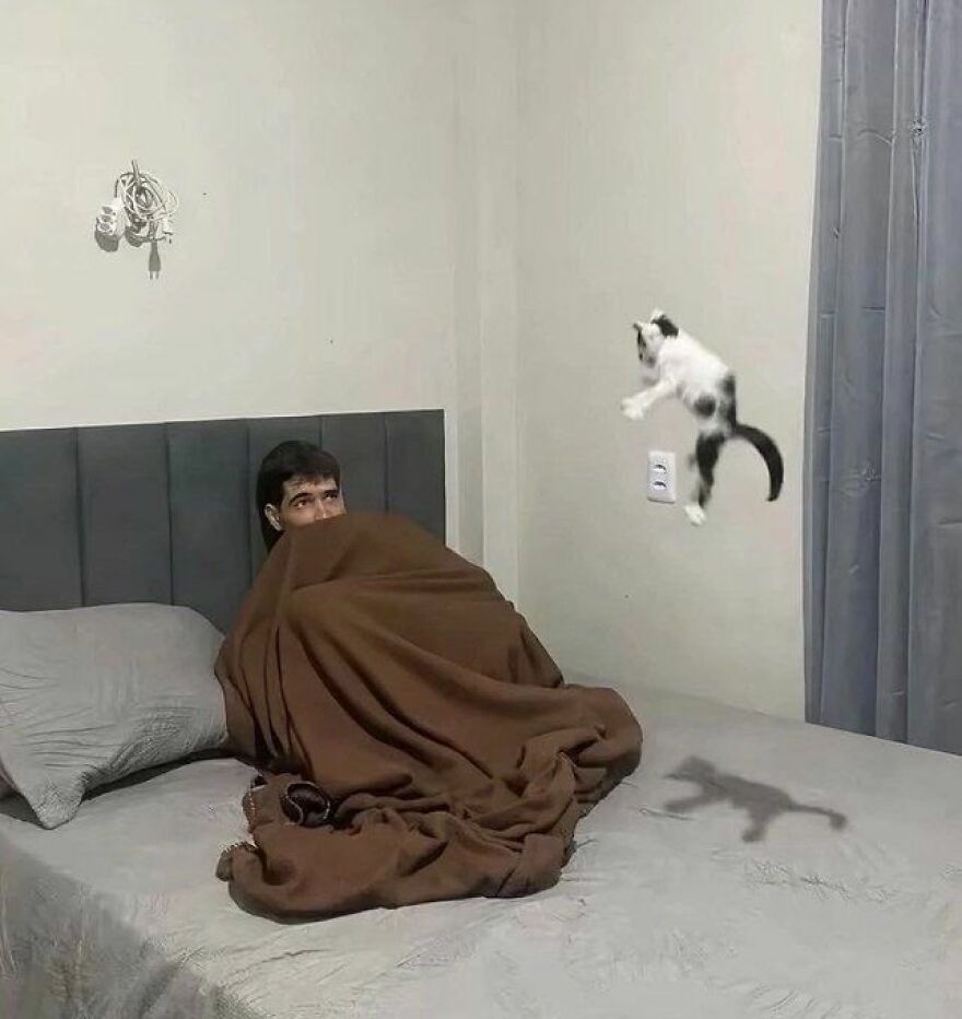 A man in bed, looking surprised as a black and white cat appears to float mid-air beside him, a weird cat photo.