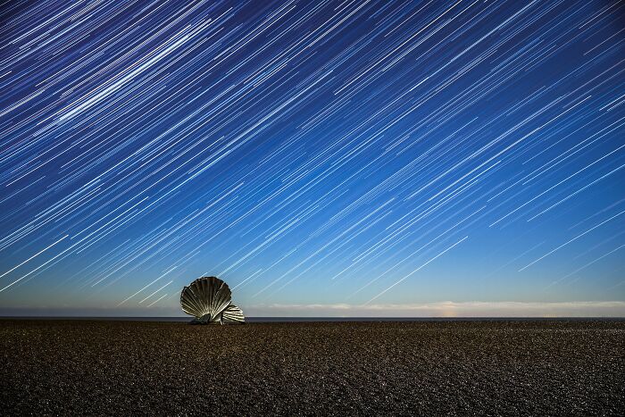 A mesmerizing astronomy photo featuring star trails illuminating the sky above a large seashell on a dark beach.
