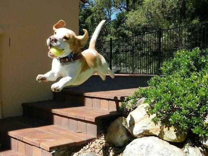 50 Perfectly Timed Animal Photos From This Online Collection That Are Almost Too Good To Be True