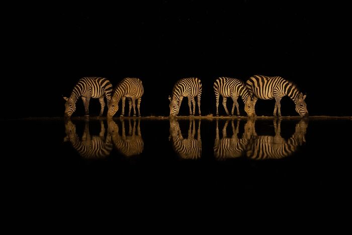 Night Photography By Johan Willems