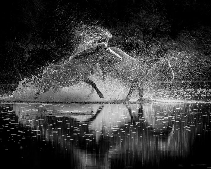 The Pursuit By Brian Clopp Photography