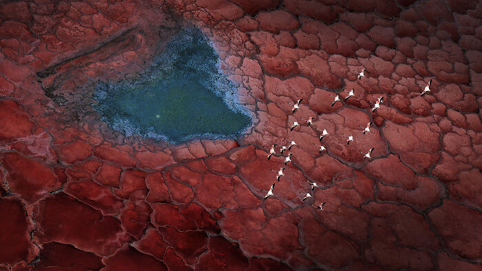 Aerial / Drone, 1st Place: Journey Of Life By Xuejun Long
