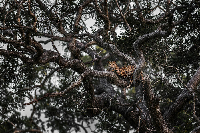 My Territory By Ashane Marasinghe