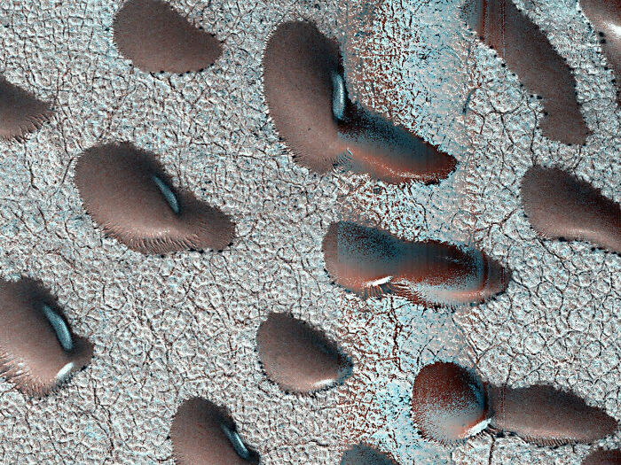 A close-up NASA Mars photo of irregular objects that some interpret as jellyfish, causing a frenzy. A close-up NASA Mars photo of irregular objects that some interpret as jellyfish, causing a frenzy.