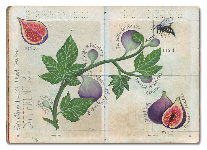 Artist transforms father's passport into a memory capsule, illustrating a fig tree with descriptive keywords and figs.