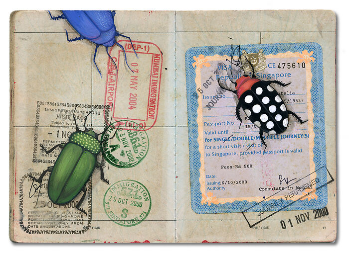 Artist transforms father's passport into a memory capsule with colorful beetle illustrations over stamps and visas.