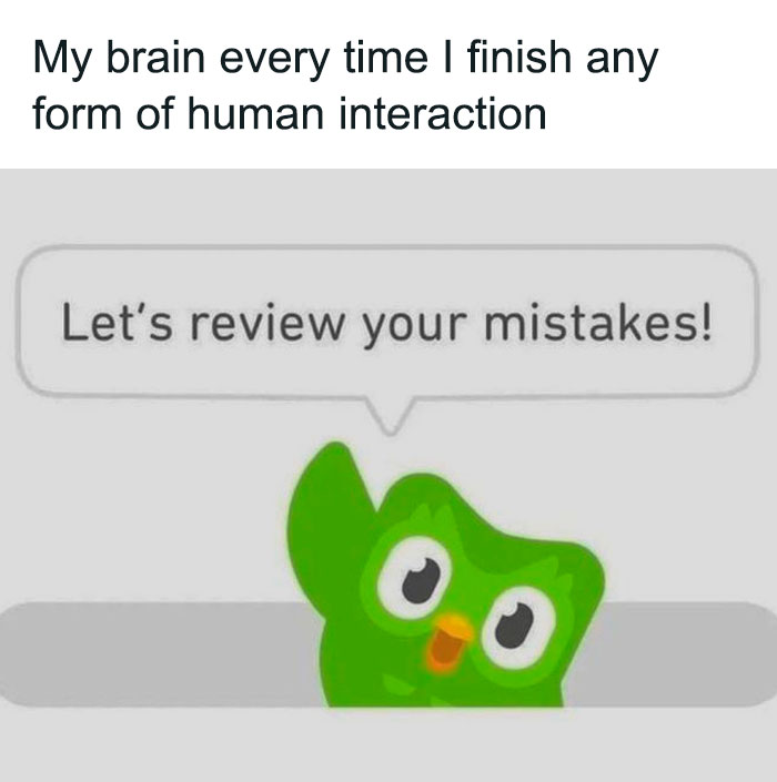A neurodivergent meme, a Duolingo owl saying Let's review your mistakes after human interaction.