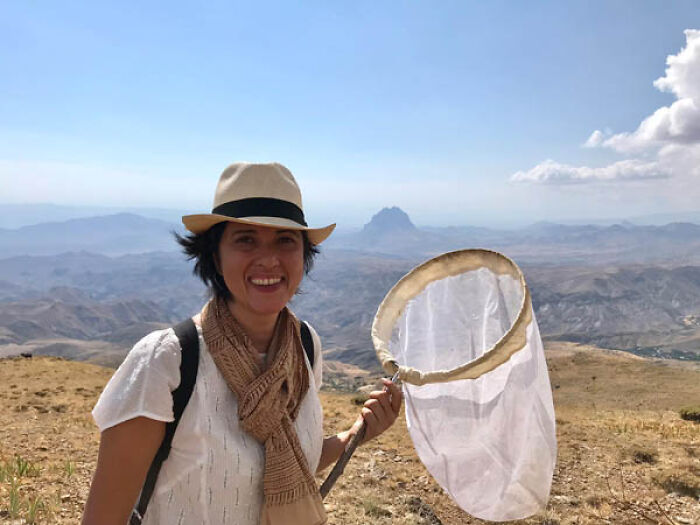 A smiling woman holding a butterfly net on a mountain with a vast landscape, capturing the essence of nature photography.