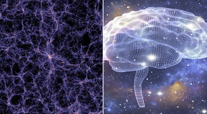 If Your Daily Routine Includes Learning Something New, Here Are 65 Facts You Might Have Missed
