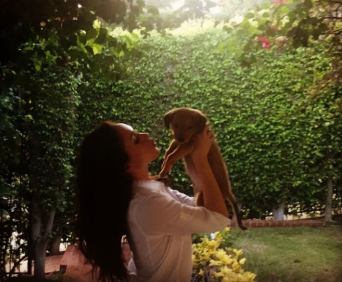 Meghan Markle holding a puppy outdoors, with renewed concern for kids after UK move. Meghan Markle holding a puppy outdoors, with renewed concern for kids after UK move.