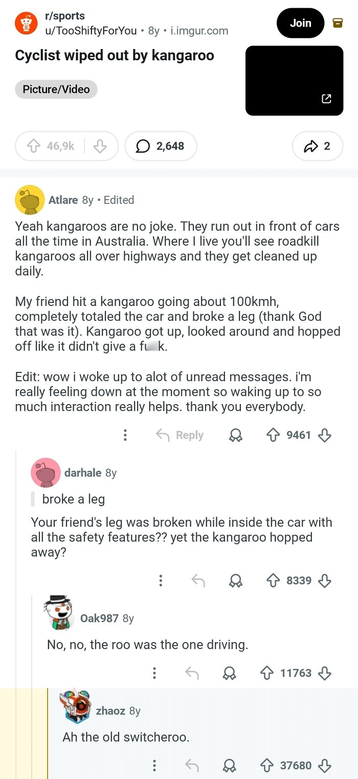 A Reddit post about comments in the hall of fame, with a user describing a cyclist hit by a kangaroo and the resulting broken leg.