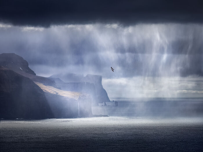 Landscape, Honorable Mention: Soaring By Ciaran Willmore