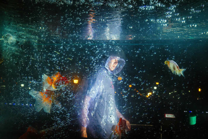 A person in a clear rain poncho stands among goldfish in a bubbly aquarium, a mesmerizing winning photo from the Street Photography Awards.