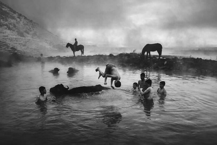 Children playing and a man doing a backflip in a misty body of water with water buffalo and horses, a winning photo from the Street Photography Awards.