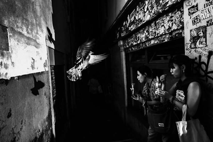 A black and white street photography shot with two women and a flying bird, a mesmerizing winning photo from the LensCulture Street Photography Awards.