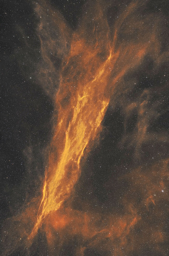 A fiery orange cosmic cloud, shaped like a celestial feather, set against a dark, star-filled background from astrophotography awards.
