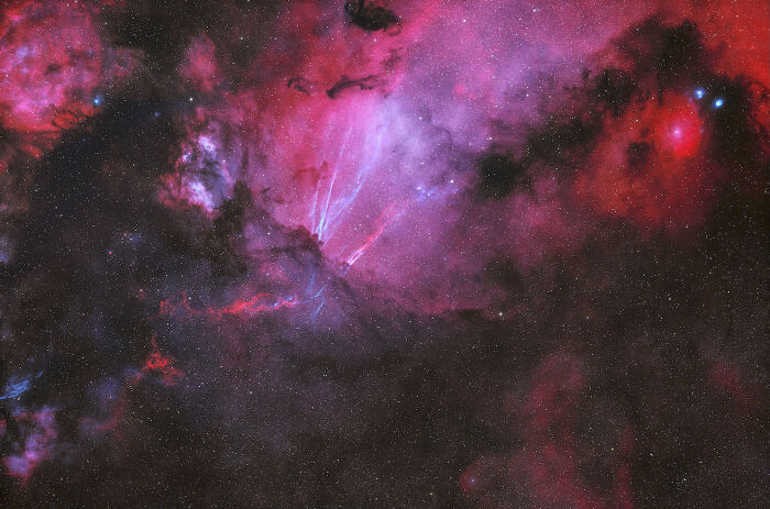 Stunning astrophotography from the David Malin Awards, displaying a luminous pink and red nebula with dark dust lanes.