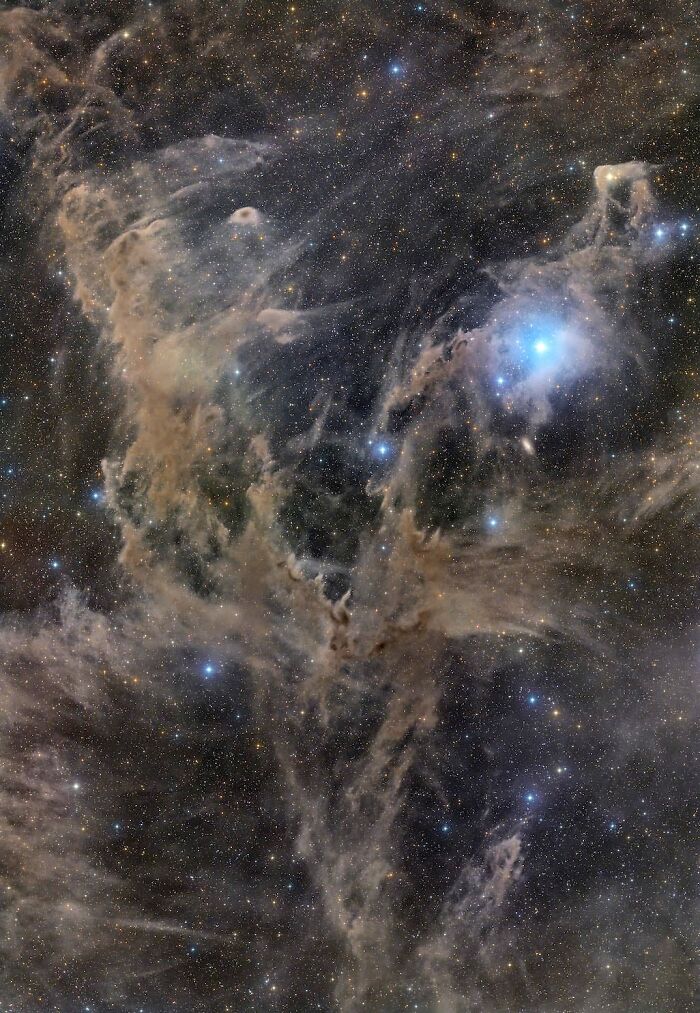 An award-winning David Malin Astrophotography image capturing intricate cosmic dust clouds and bright stars.