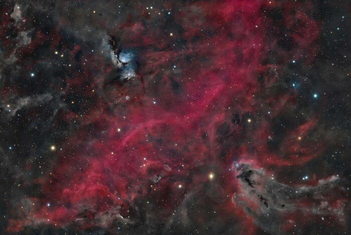 A stunning astrophotography image of a vibrant red and dark nebula amidst stars, from the David Malin Astrophotography Awards.