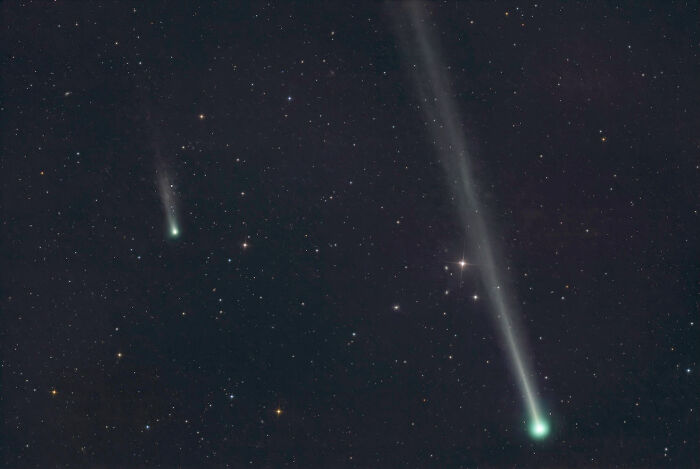 Astrophotography award-winning image: two comets with glowing tails in a dark sky filled with stars.