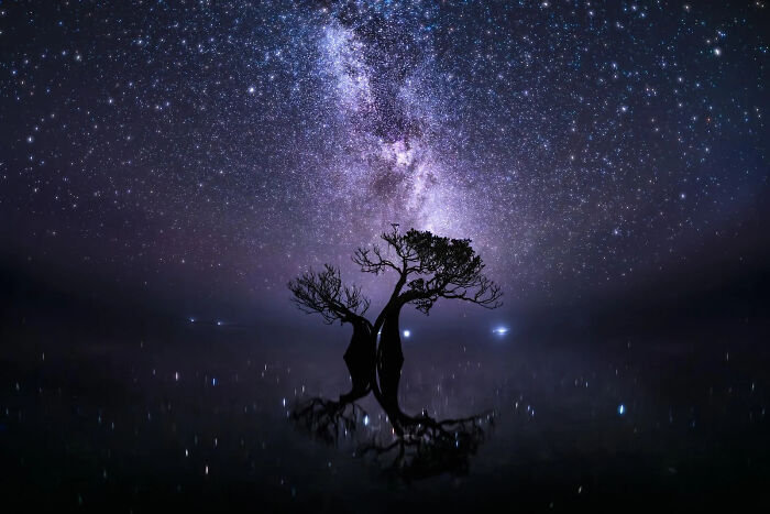 A lone tree reflects under a vibrant Milky Way, showcasing the breathtaking beauty of the world, a European Photography Awards winner.