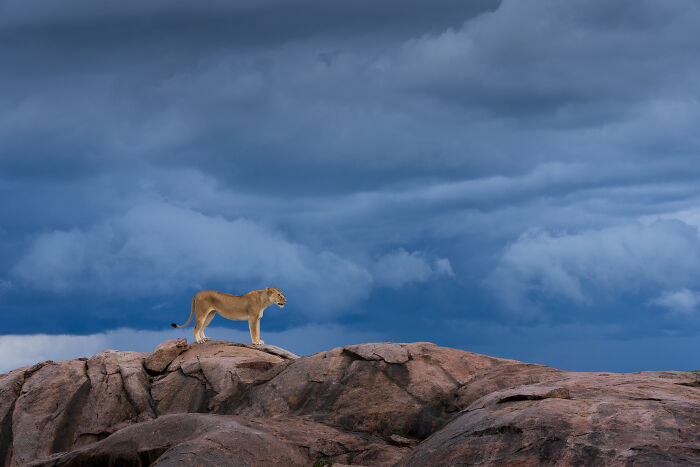 The Gathering Storm By Turgay Uzer