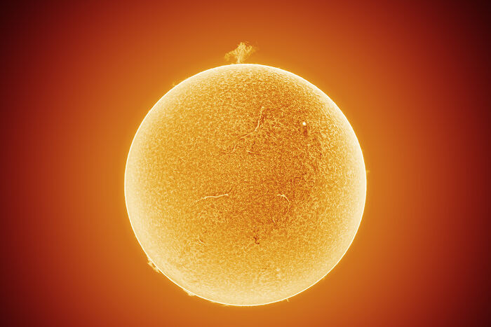 Detailed astronomy photo of the Sun, a jaw-dropping ZWO shortlist image from 2026.