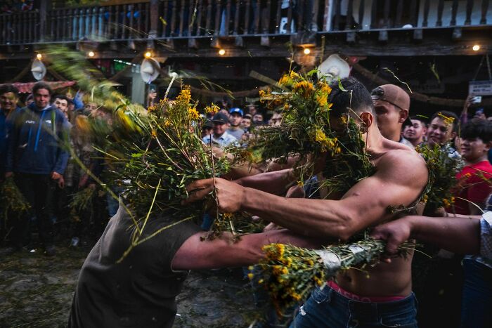 Two men wrestling with bundles of green and yellow foliage, a dynamic scene of street photography capturing life's authentic moments.