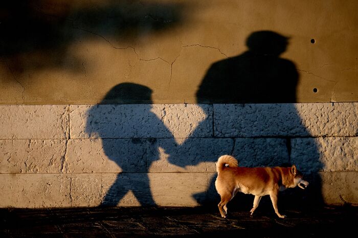 A dog walking past a wall with long shadows of two people cast upon it, illustrating captivating street photography.