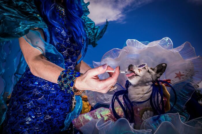 Person in a mermaid costume feeding a small animal dressed in a matching outfit, a creative moment of street photography.