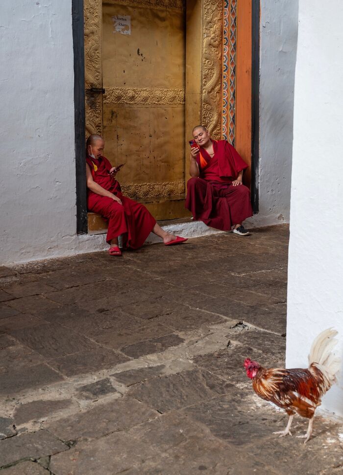 Two monks in red robes using phones by a golden door with a rooster nearby, a pure street photography moment of authentic life.