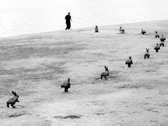 A person running on a grassy hill with rabbit statues, a unique scene from pure street photography awards.