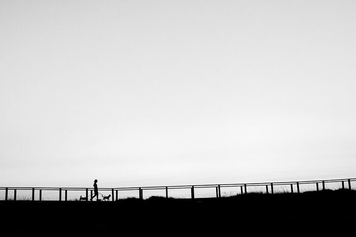 A silhouette of a person walking two small dogs on a path with a railing, against a bright sky.