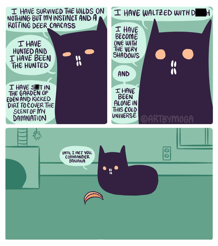 A comic about life with a cat: A black cat's epic journey of survival until meeting 'Commander Banana'.