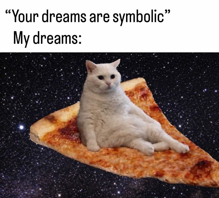 A cat meme featuring a white cat lounging on a slice of pizza in outer space, a funny illustration of life with a tiny four-legged menace.
