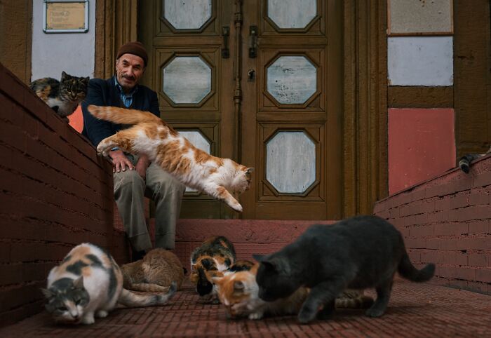 Murat Bakmaz captures the beauty of everyday life: A man surrounded by many cats, holding one that leaps in mid-air.