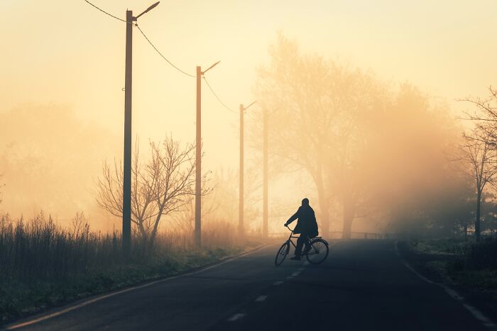 Murat Bakmaz captures the beauty of everyday life: A solitary person riding a bicycle on a foggy morning road.