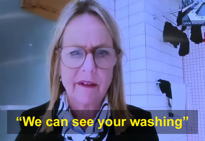 Politician caught in awkward scandal. Her washing is visible in the background during a livestreamed meeting. Politician caught in awkward scandal. Her washing is visible in the background during a livestreamed meeting.