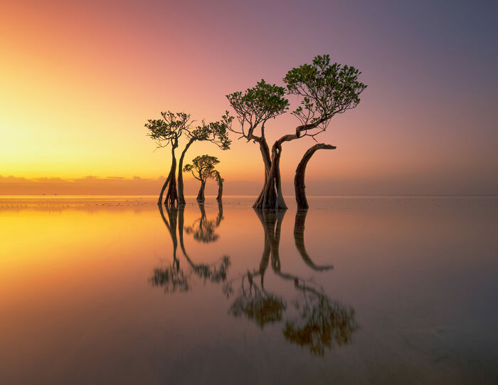 Landscape, 3rd Place: Stillness Beyond Time By Ciaran Willmore