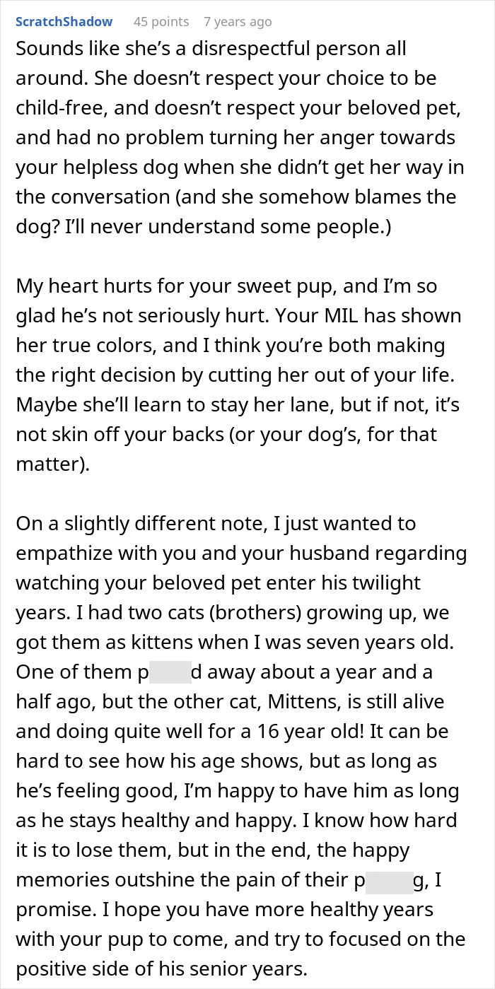 A comment detailing the MIL's disrespect for choice and beloved pet, and the impact of kicking the senior dog. A comment detailing the MIL's disrespect for choice and beloved pet, and the impact of kicking the senior dog.
