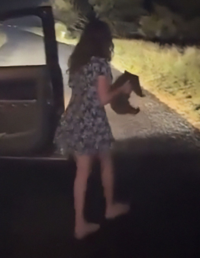 US Tourist walking barefoot on a dark road at night, carrying a baby wombat, getting into a car. US Tourist walking barefoot on a dark road at night, carrying a baby wombat, getting into a car.